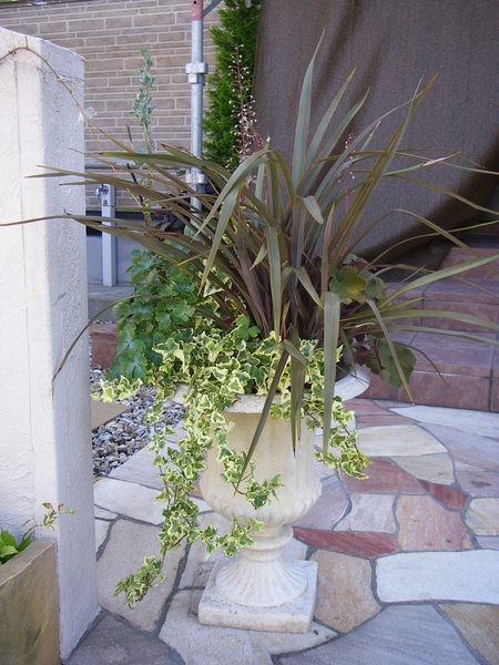 e0286817_10355382.jpg