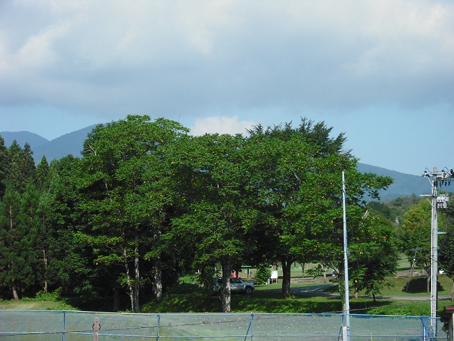 a0173819_8484643.jpg