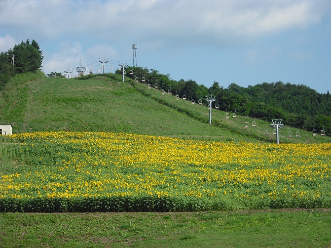 a0173819_8491268.jpg