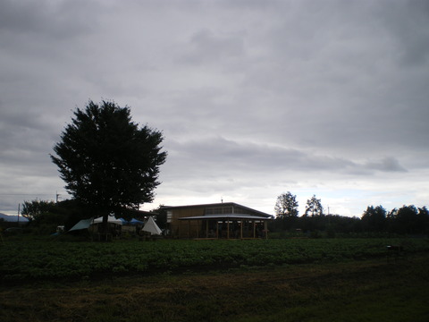 e0128024_11481739.jpg