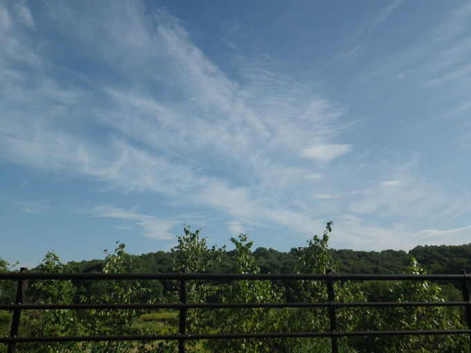 e0026331_8594611.jpg