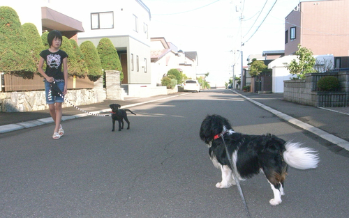 c0051132_2056527.jpg