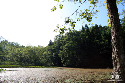 c0211532_19323.jpg
