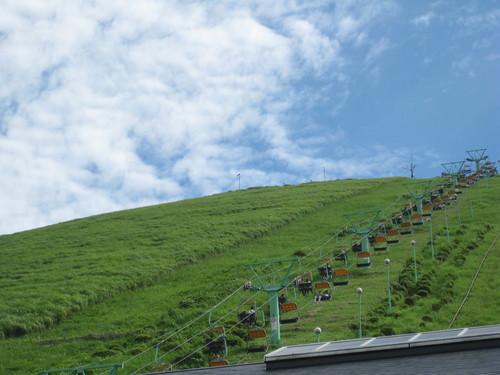 a0158236_7554824.jpg