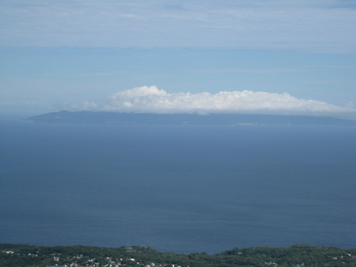 a0158236_801354.jpg