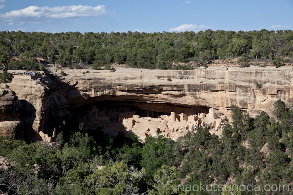 c0157739_1433050.jpg