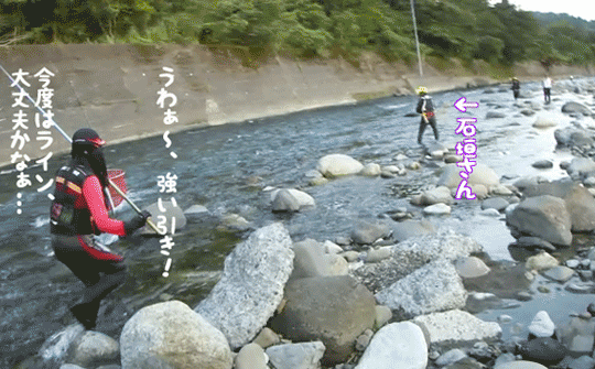 a0056140_011371.gif