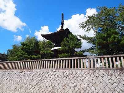 三河の東西を鉄道でぶら～り・岡崎編_d0079440_22523073.jpg