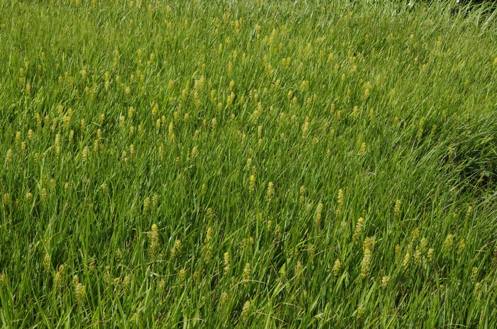 d0237340_2328164.jpg