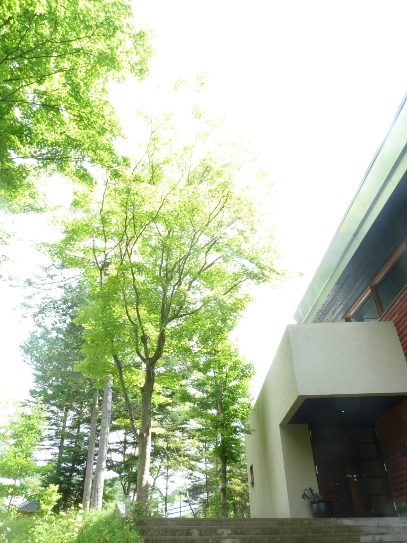 しばらくでした☆_c0152341_12020.jpg