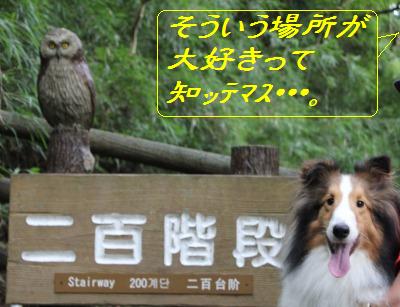 あくびの夏休み~箱根へ_e0195743_1652482.jpg