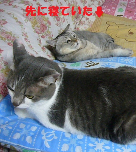 8月21日(タイトルも思い浮かばないorz)_f0002743_1435720.jpg