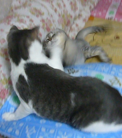8月21日(タイトルも思い浮かばないorz)_f0002743_1436365.jpg