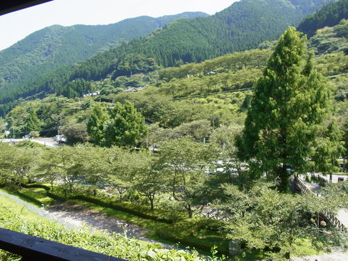 d0250148_21087.jpg