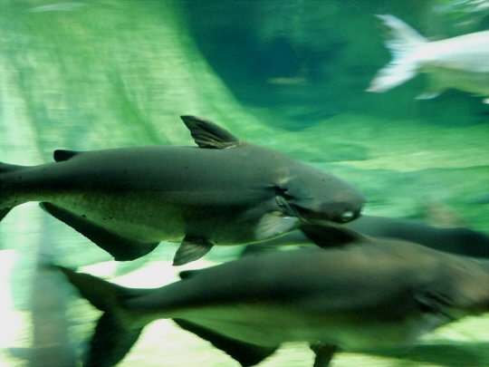 a0269049_2105927.jpg
