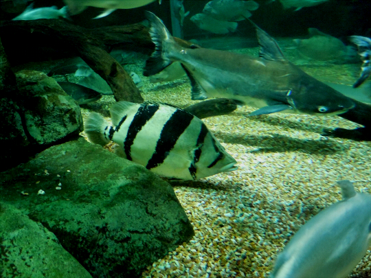 a0269049_2111296.jpg