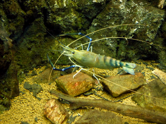 a0269049_2112036.jpg