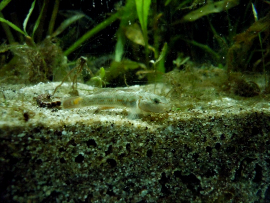 a0269049_2926100.jpg