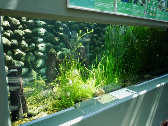 a0269049_29659.jpg