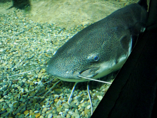 a0269049_3304446.jpg