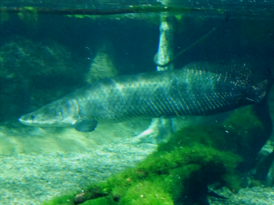 a0269049_3305692.jpg