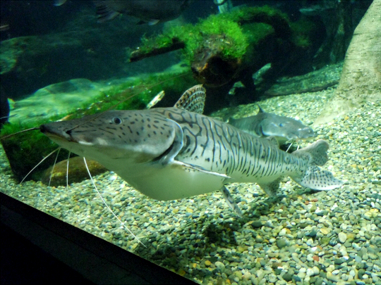 a0269049_3311128.jpg