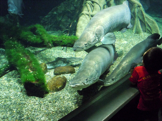 a0269049_4193153.jpg