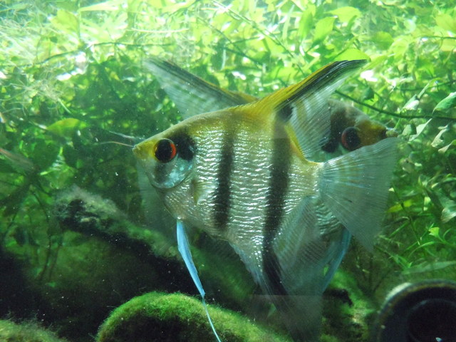 a0269049_4194819.jpg