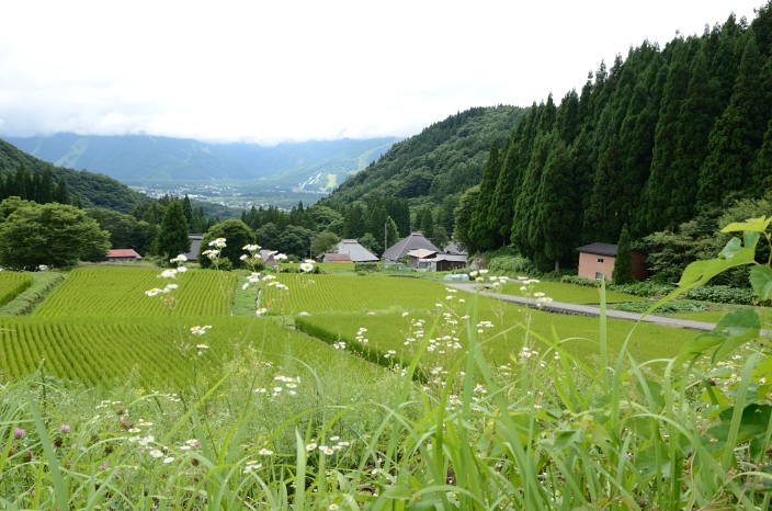 20120814 山村集落「青鬼」 棚田 長野県白馬村_a0263952_1939397.jpg