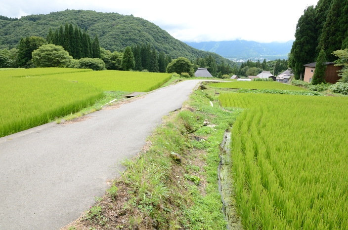 20120814 山村集落「青鬼」 棚田 長野県白馬村_a0263952_19394762.jpg