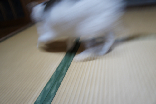 b0059860_1745582.jpg