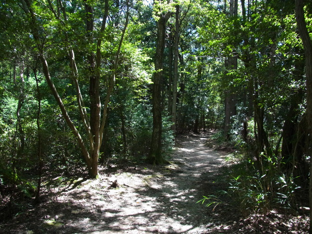 b0194267_23103125.jpg