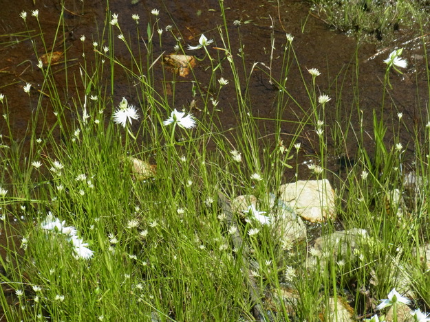 b0194267_2328126.jpg