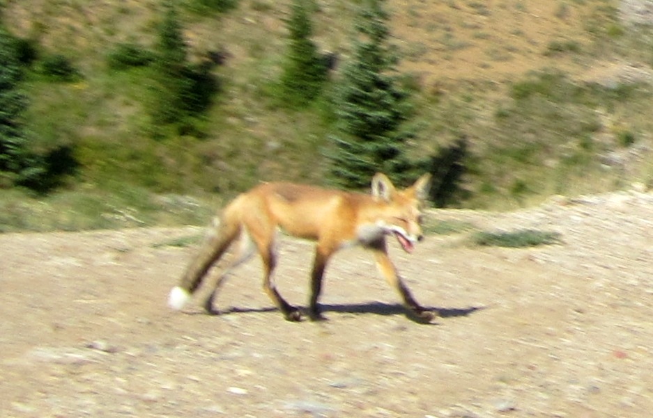c0194469_12324827.jpg