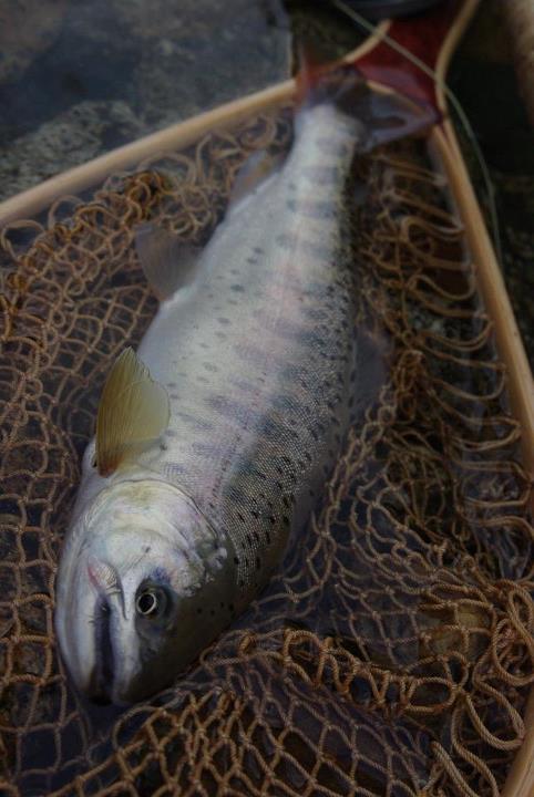 b0150670_2012738.jpg