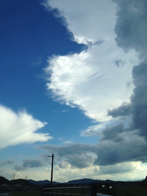 最近夕立と雷のすごかね_a0077071_1736126.jpg