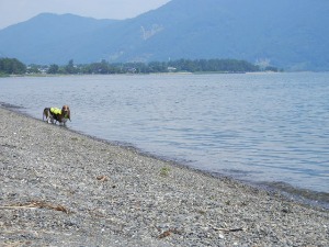 f0204072_6485244.jpg