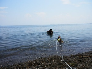 f0204072_6523213.jpg
