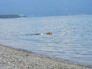 f0204072_725485.jpg