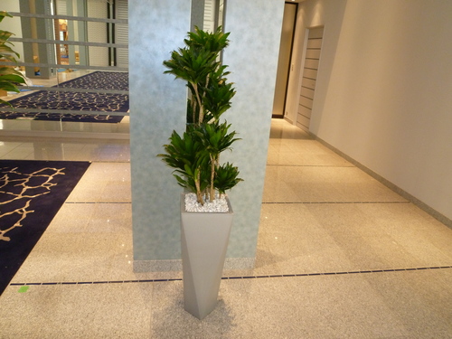 f0200477_2135930.jpg