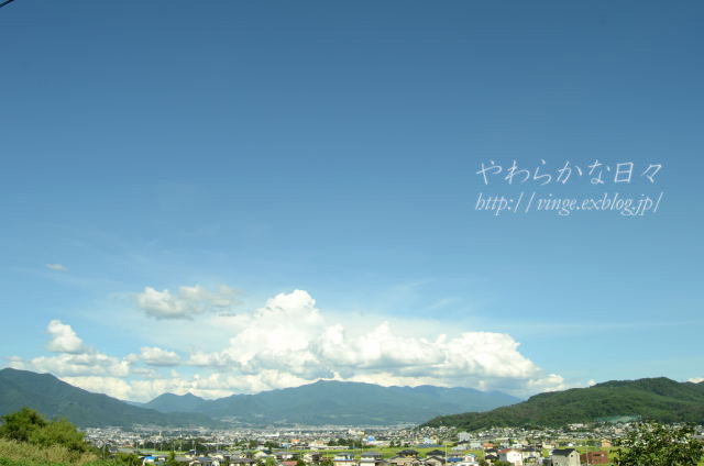 a0158478_8195011.jpg