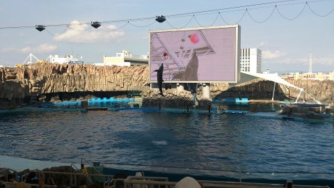 ☆花火やら水族館やらアウトレットやらなんやかんやの浮かれぶり☆_b0192878_2132129.jpg