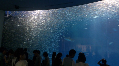 ☆花火やら水族館やらアウトレットやらなんやかんやの浮かれぶり☆_b0192878_2152659.jpg