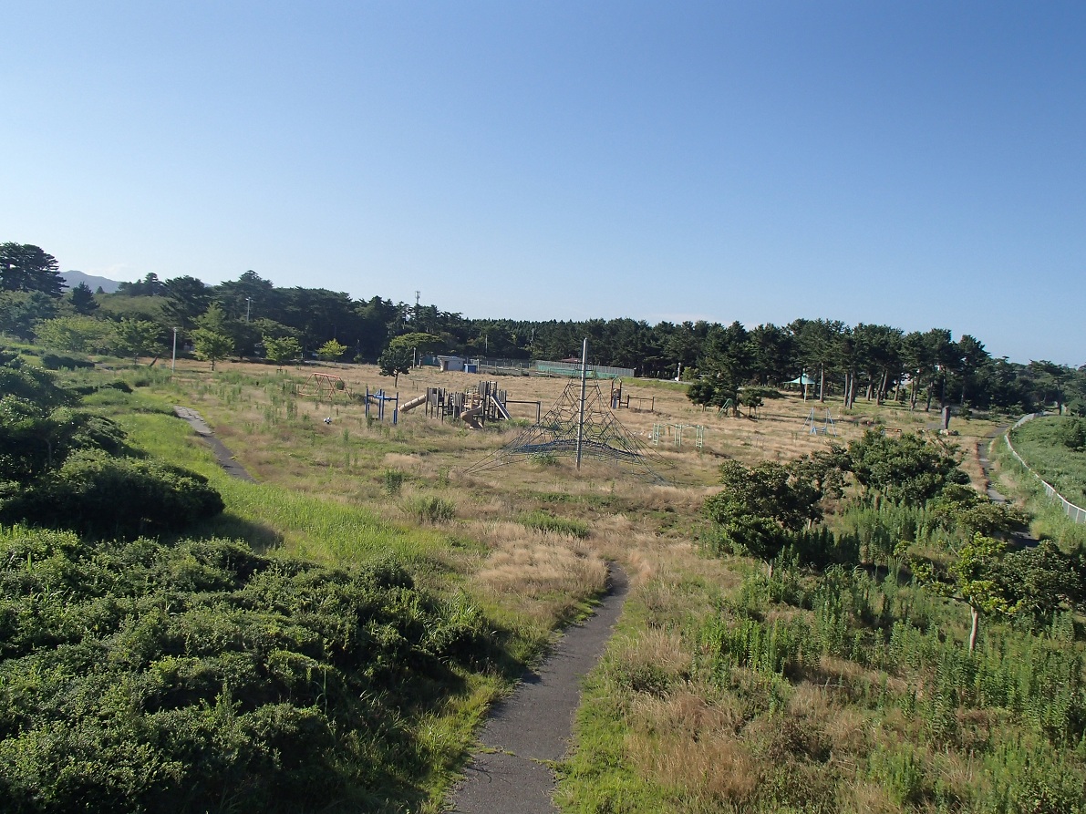 e0131083_16324179.jpg