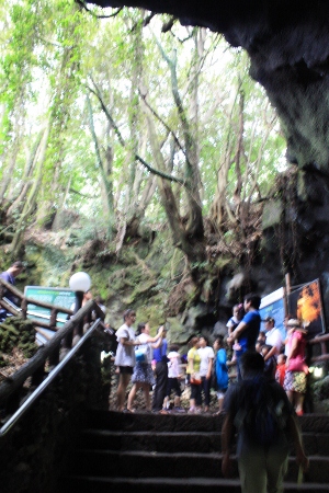 b0207284_54587.jpg