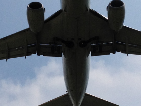 c0214089_950921.jpg