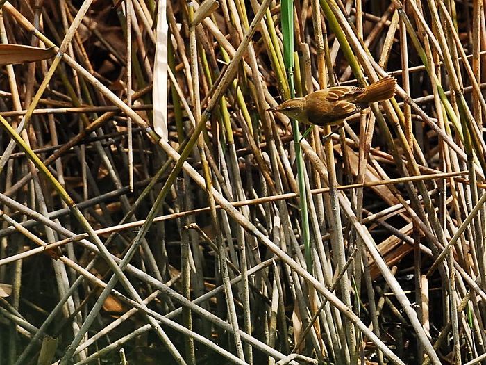 a0223993_22391650.jpg