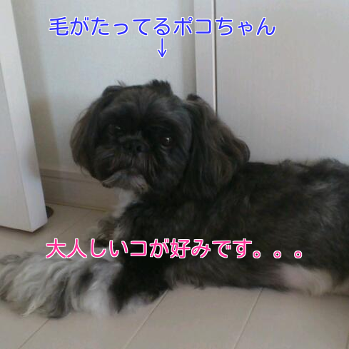 b0237894_14582927.png