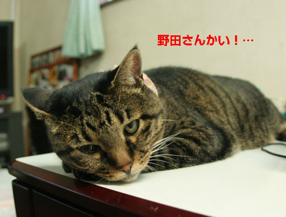 d0071596_2201377.jpg