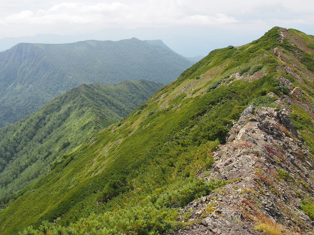 8月19日、武利岳－武華山登山口から前ムカピストン編－_f0138096_11144859.jpg